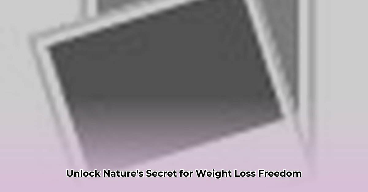 alcachofa weight loss